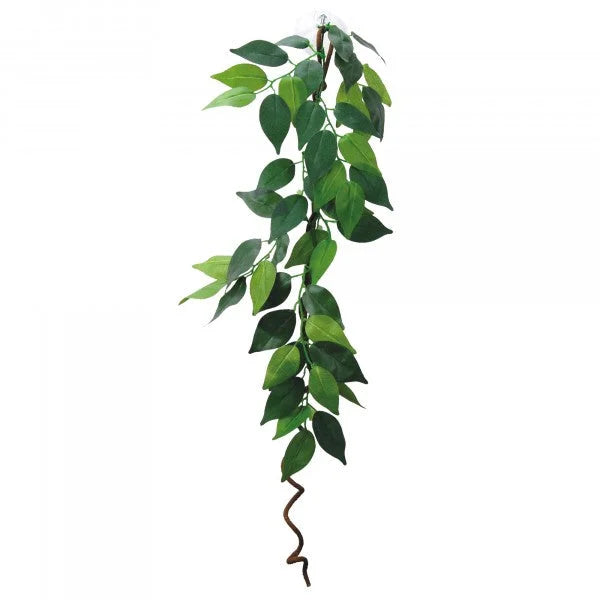 Eco Tech Hanging Ficus W/Vine 60Cm-1