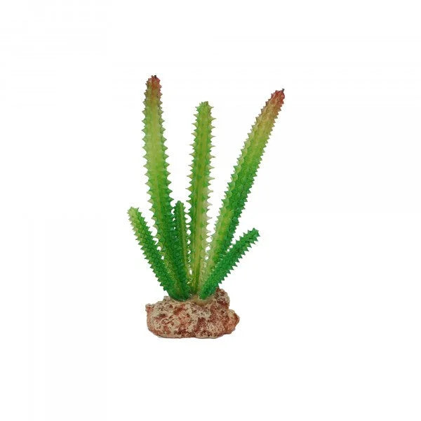 Eco Tech Desert Cactus 16Cm-1