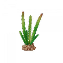 Eco Tech Desert Cactus 16Cm-1
