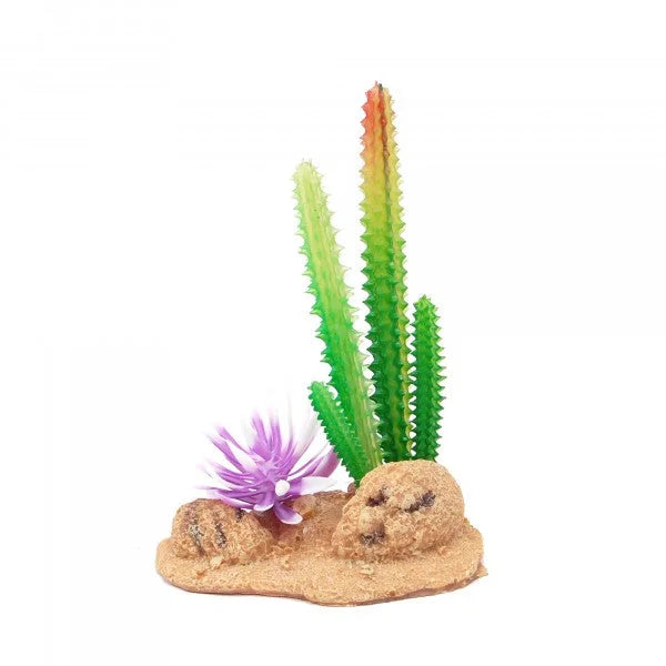 Eco Tech Desert Cactus With Brush And Rock 13Cm-1