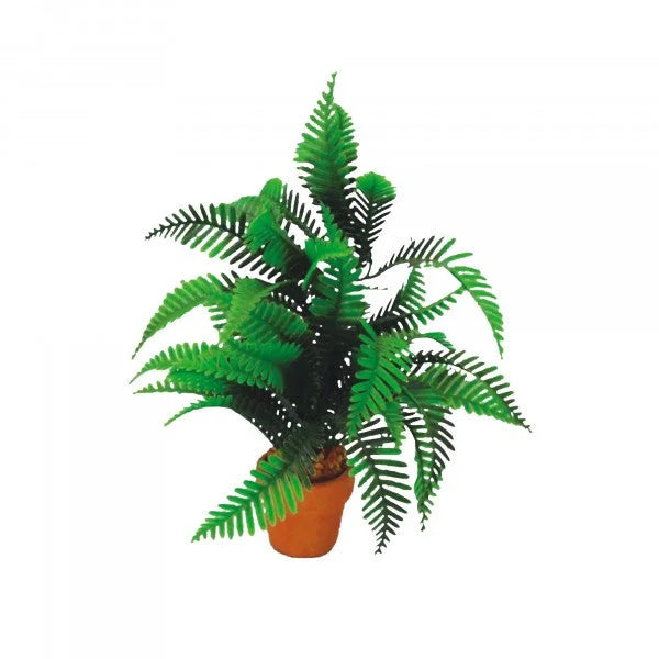 Eco Tech Desert Fern 20Cm-1
