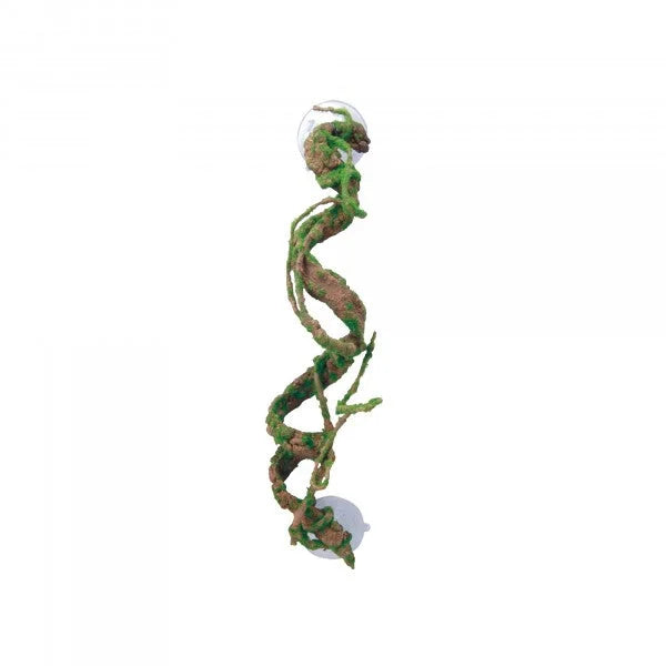 Eco Tech Corkscrew Vine 40Cm-1