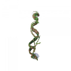 Eco Tech Corkscrew Vine 40Cm-1