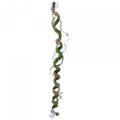Eco Tech Giant Corkscrew Vine 80Cm-1