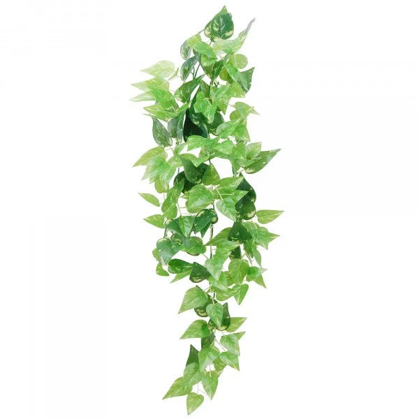 Eco Tech Hanging Honey Ivy 80Cm