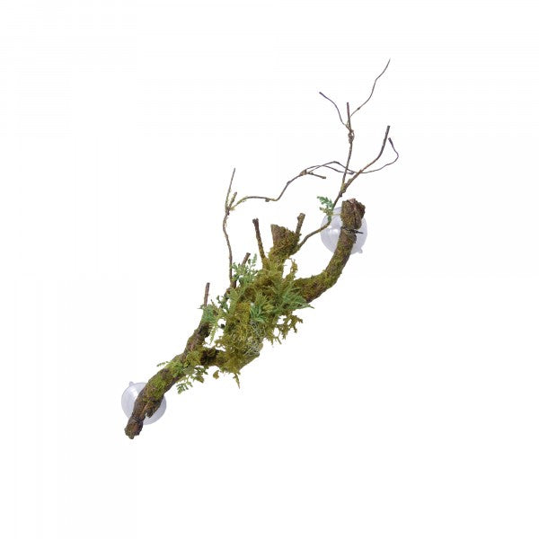 Eco Tech Large Vine Cluster With Moss Lichen