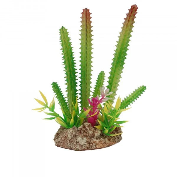 Eco Tech Multi Desert Cactus With Plant And Rock 15Cm-1