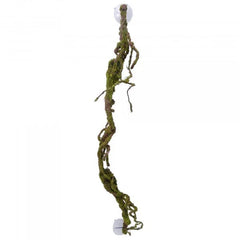 Eco Tech Multiple Twist Vines With Moss Lichen 80Cm-1