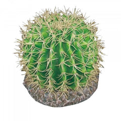 Eco Tech Pineapple Cactus 20Cm-1
