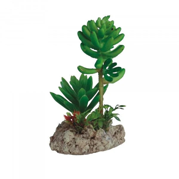Eco Tech Twin Cactus Unit 12Cm-1