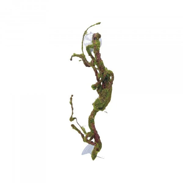 Eco Tech Twisted Vine With Moss Ball 40Cm