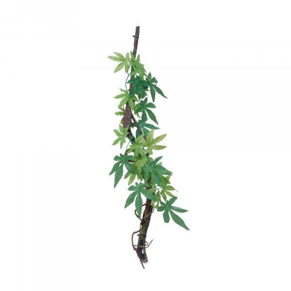 Eco Tech Vine With Albuliton Growth-1