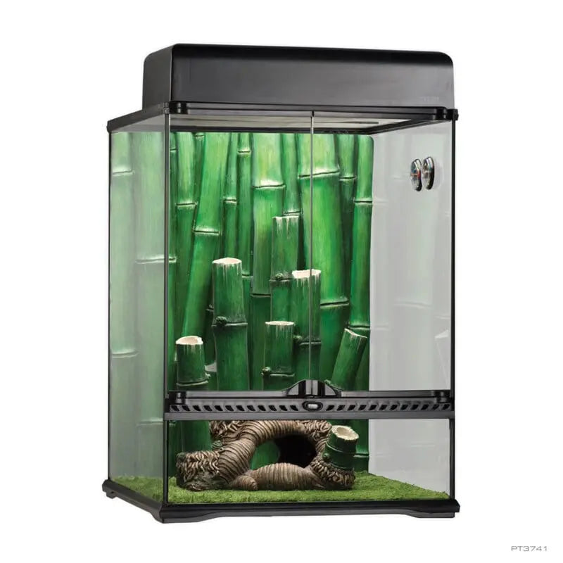 Exo Terra Bamboo Forest Kit 45 X 45 X 60cm