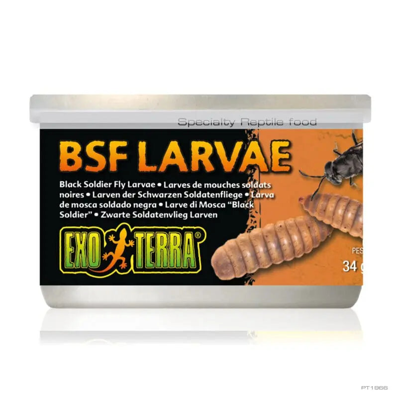 Exo Terra Black Solder Fly Larvae 34g-1