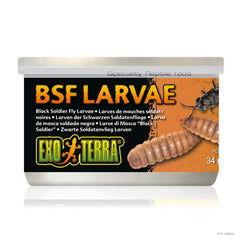 Exo Terra Black Solder Fly Larvae 34g-1