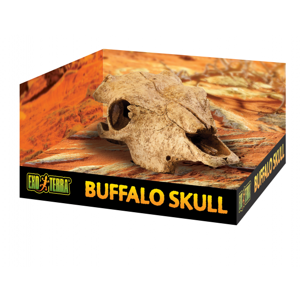 Exo Terra Buffalo Skull - Medium-1