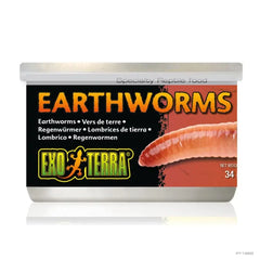 Exo Terra Canned Earthworms 34gm-1
