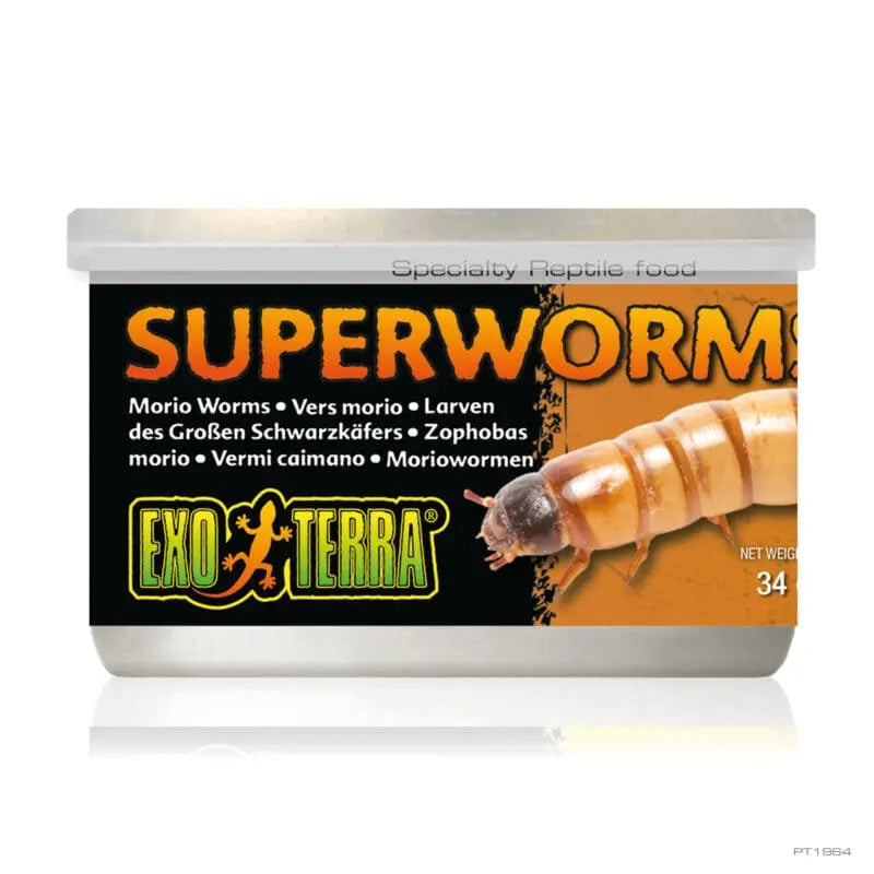 Exo Terra Canned Superworms 34gm-1