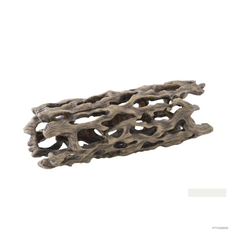 Exo Terra Cholla Cactus Skeleton - Large