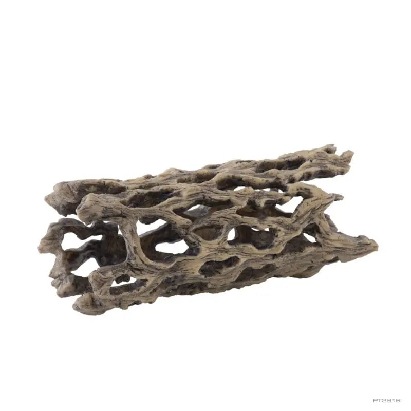 Exo Terra Cholla Cactus Skeleton - Medium-1