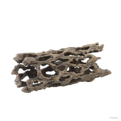 Exo Terra Cholla Cactus Skeleton - Medium-1