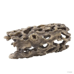 Exo Terra Cholla Cactus Skeleton - Small-1