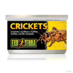 Exo Terra Crickets Small 34gm 1.2oz-1