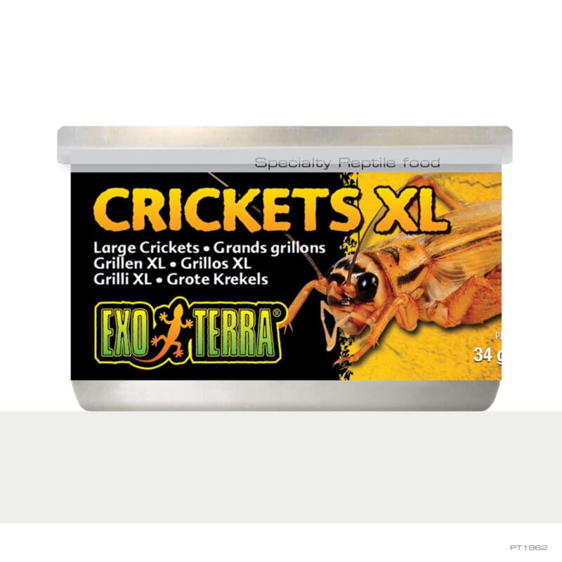 Exo Terra Crickets XLarge 34gm 1.2oz-1