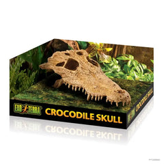 Exo Terra Crocodile Skull - Medium-1