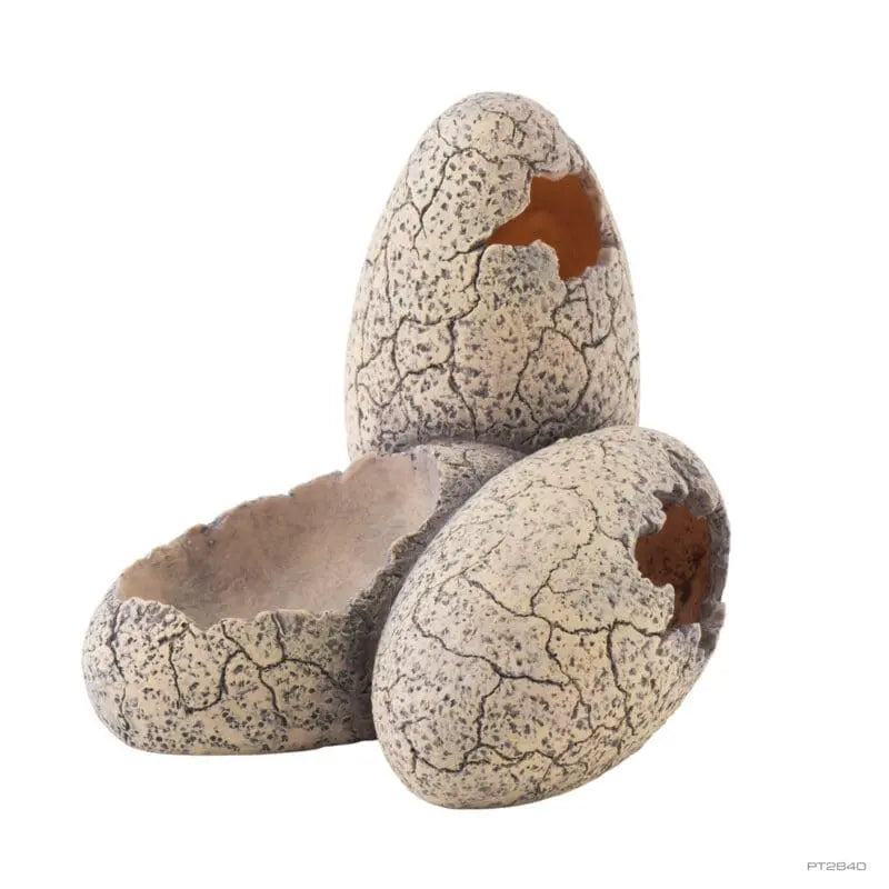 Exo Terra Dinosaur Eggs Small Hideout and Water Dish