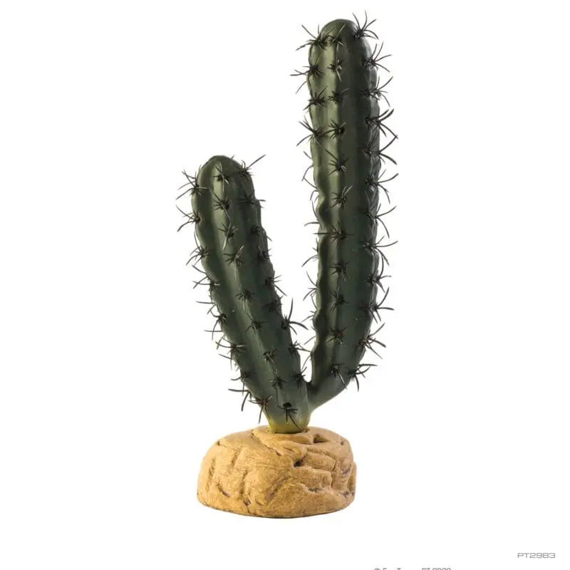 Exo Terra Finger Cactus 20cm High