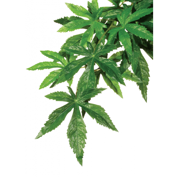 Exo Terra Forest Plant Abutilon Small