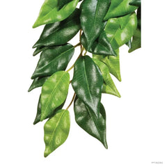 Exo Terra Forest Plant Ficus Small-1