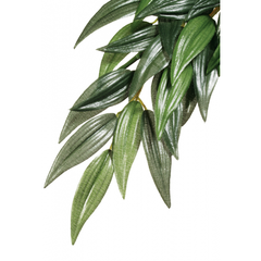 Exo Terra Forest Plant Ruscus Large-1