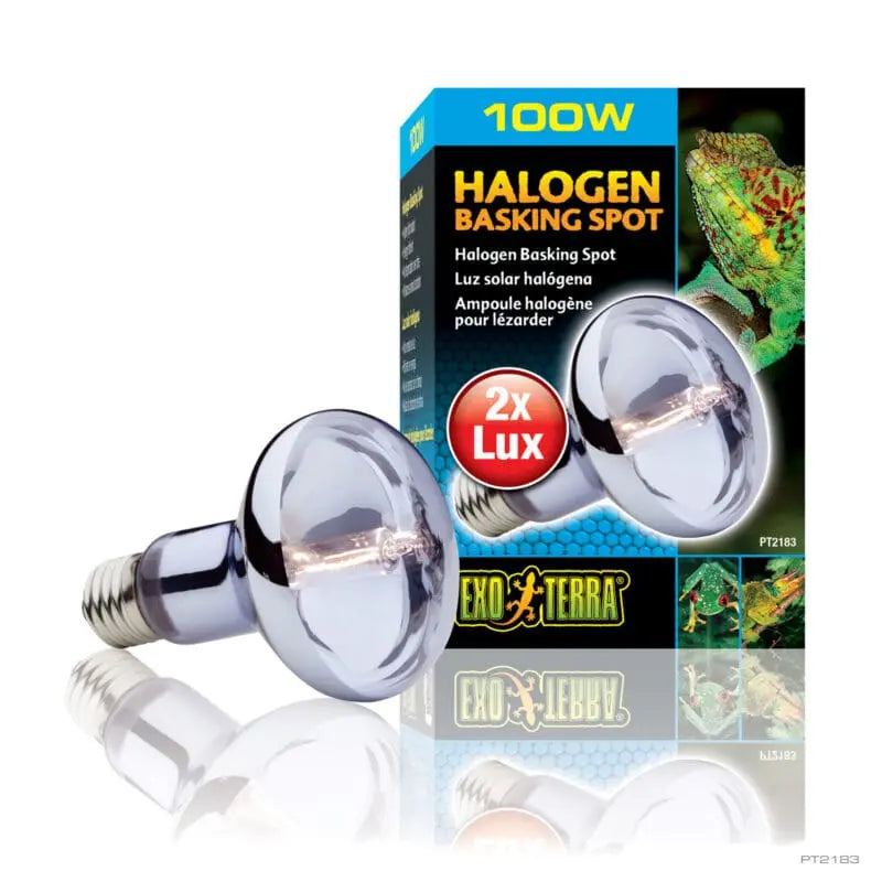 Exo Terra Halogen Basking Spot Lamp 100w-1