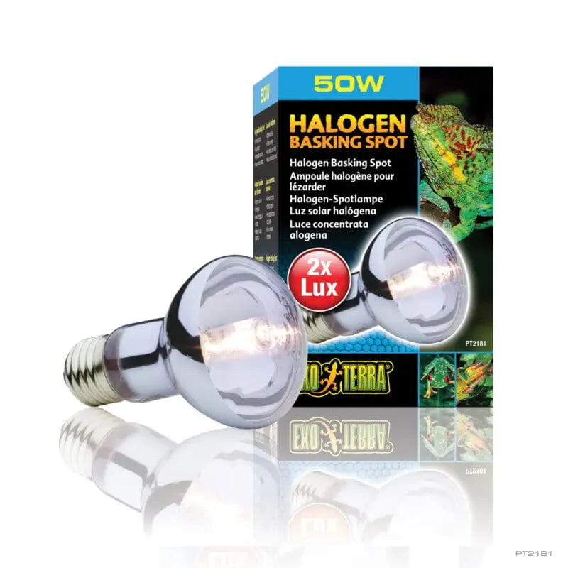 Exo Terra Halogen Basking Spot Lamp 50w-1