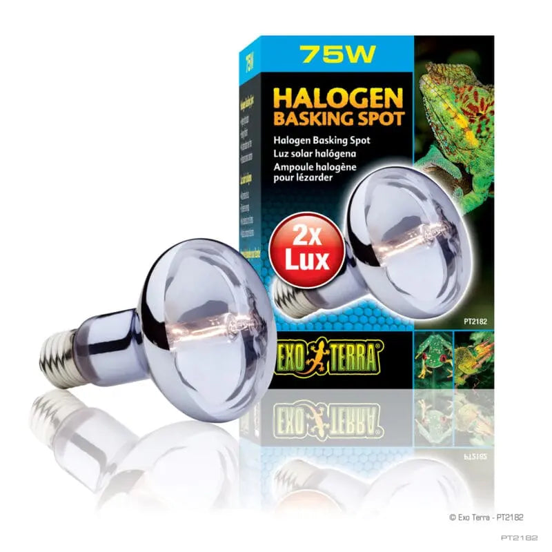 Exo Terra Halogen Basking Spot Lamp 75w-1