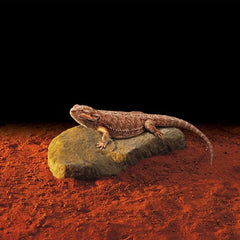 Exo Terra Heating Rock Medium-4
