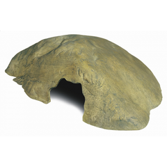 Exo Terra Hiding Cave - Medium-1