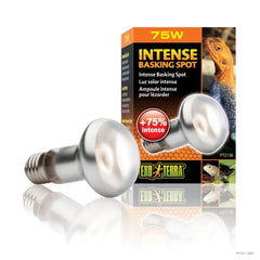 Exo Terra Intense Basking Spot Lamp 75w-1
