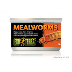 Exo Terra Mealworms 34g-1