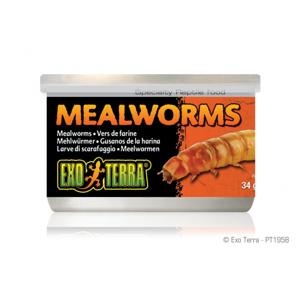 Exo Terra Mealworms 34g-1