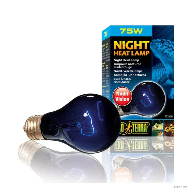 Exo Terra Night Heat Bulb 75w