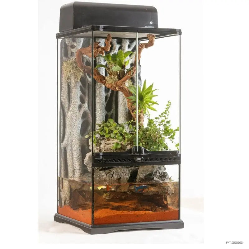 Exo Terra Paludarium Mini Extra Tall 30 X 30 X 60cm