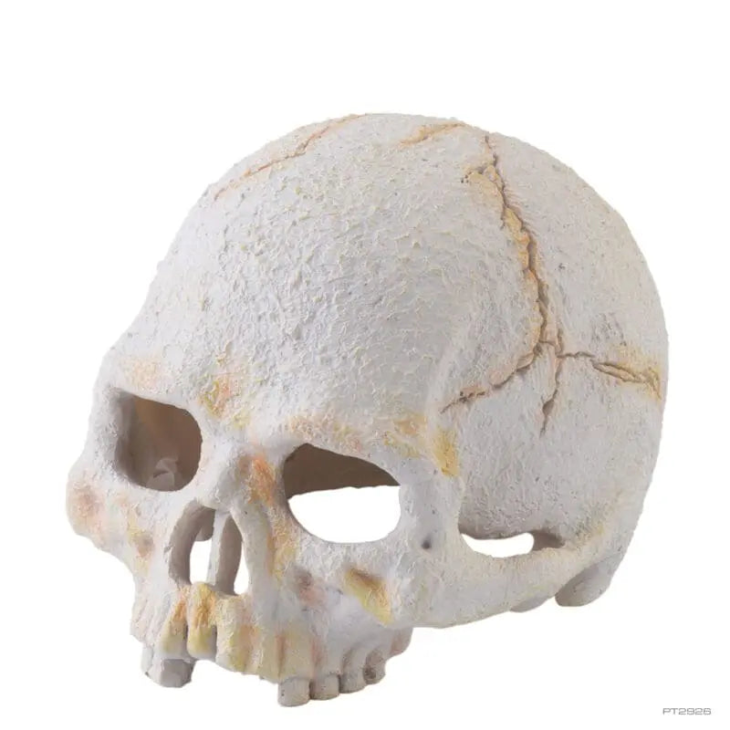 Exo Terra Primate Skull - Small-1