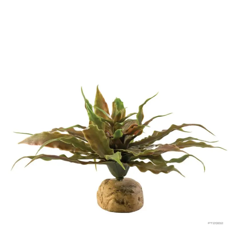 Exo Terra Star Cactus 23cm Wide-1