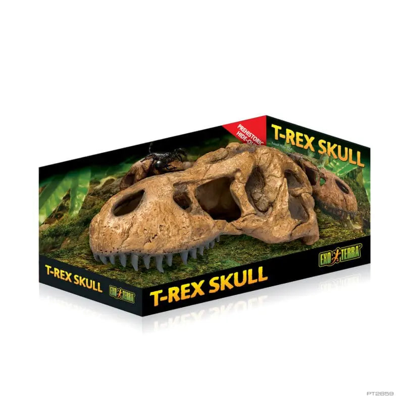 Exo Terra T Rex Skull-1