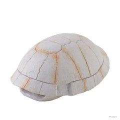 Exo Terra Tortoise Skeleton-1
