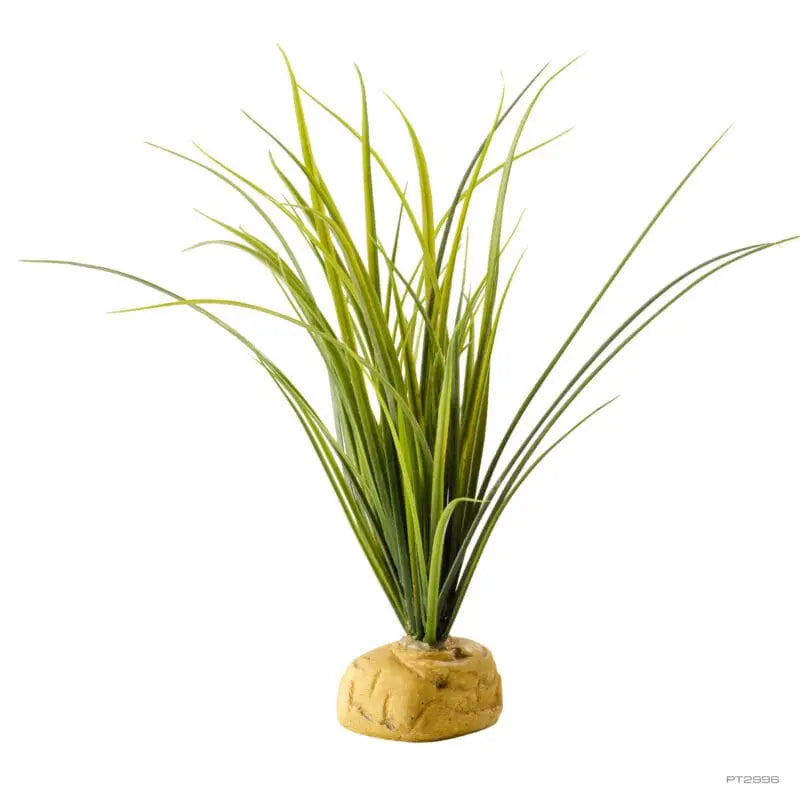 Exo Terra Turtle Grass-1