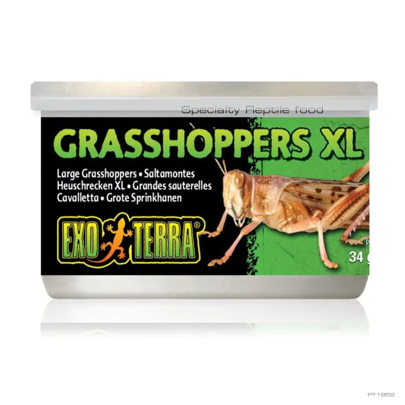 Exo Terra Wild Grasshoppers Xl 34g-1